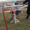 foire-haricots 2011-09-17et18